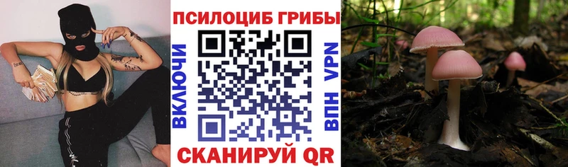 Купить  Тимашёвск  Галлюциногенные грибы мицелий 